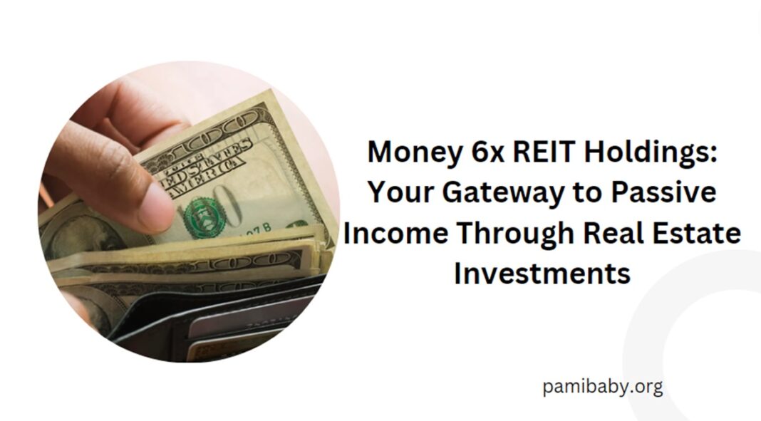 money 6x reit holdings